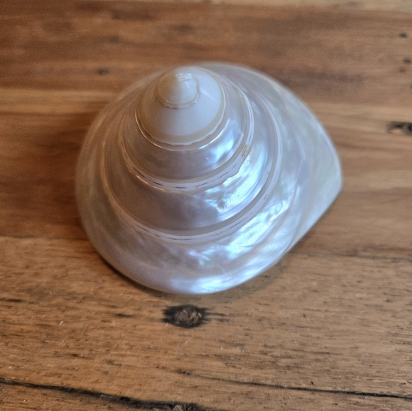 MERMAID LOVE BUNDLE - MERMAID METAL HOOK, MERMAID DECOR SIGN, & PEARL SHELL - Picture 5 of 8